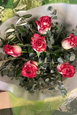 Half Dozen Pink Roses 